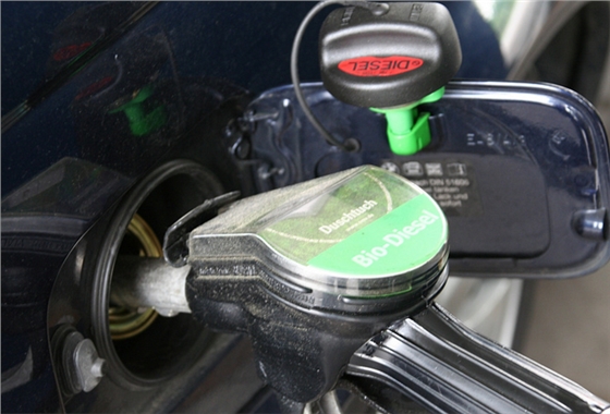 正在加油的汽車.賽襄軸承網(wǎng)站資訊
