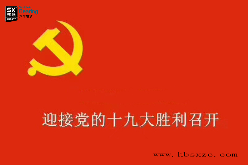 十九大.賽襄軸承網(wǎng)站資訊