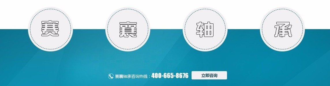 單列圓錐滾子軸承廠